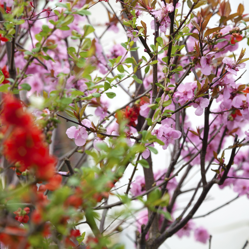 Admission at Thornton Lodge